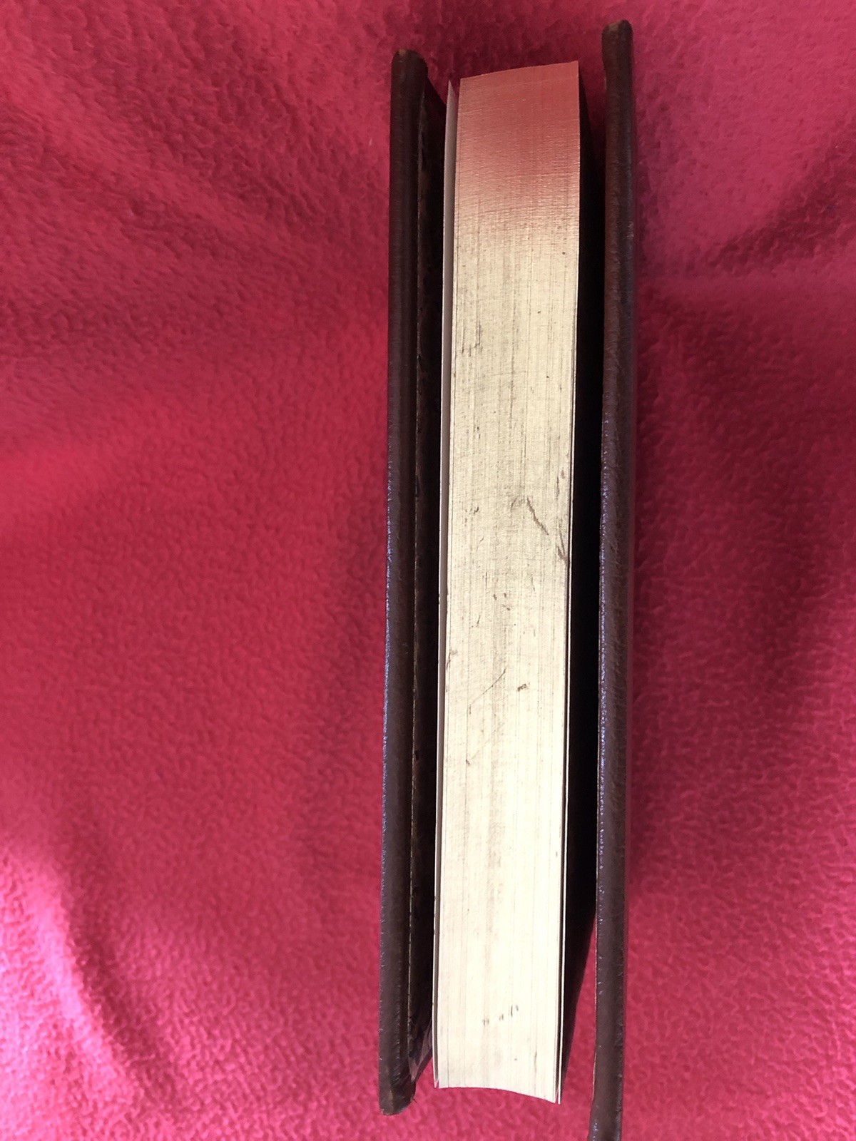 Adventures with Indians and Game by Dr. William A. Allen – Faux Leather Bound