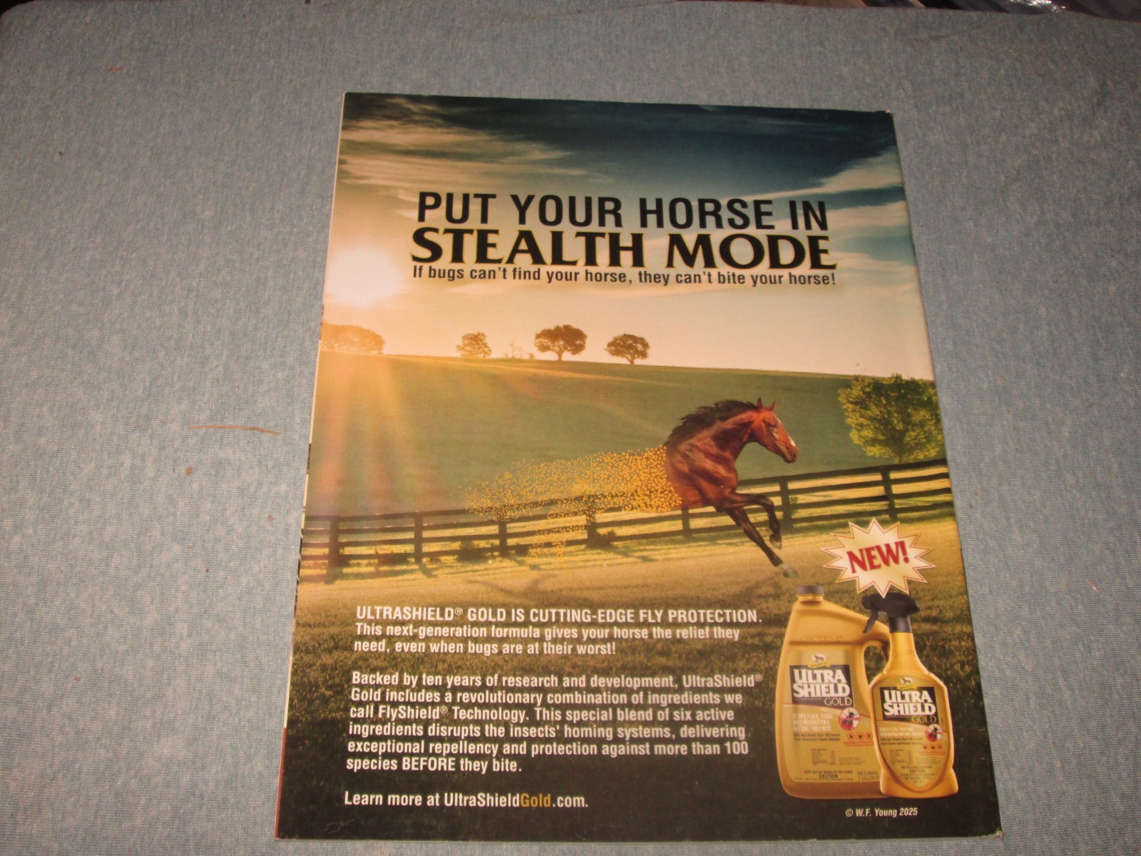 The Chronicle of the Horse Magazine April-May 2025 Vol. 88 #4 Kentucky Preview