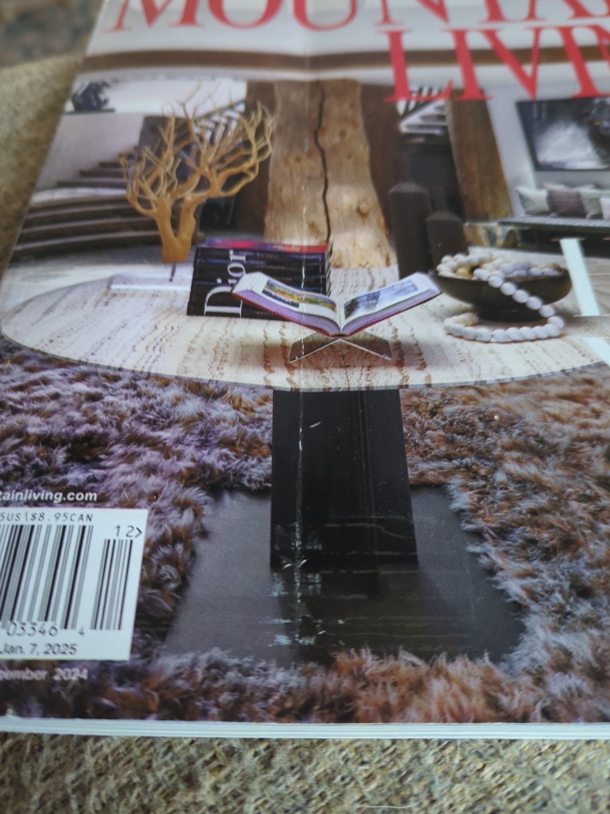 MOUNTAIN LIVING Home Of The Year November/December 2024