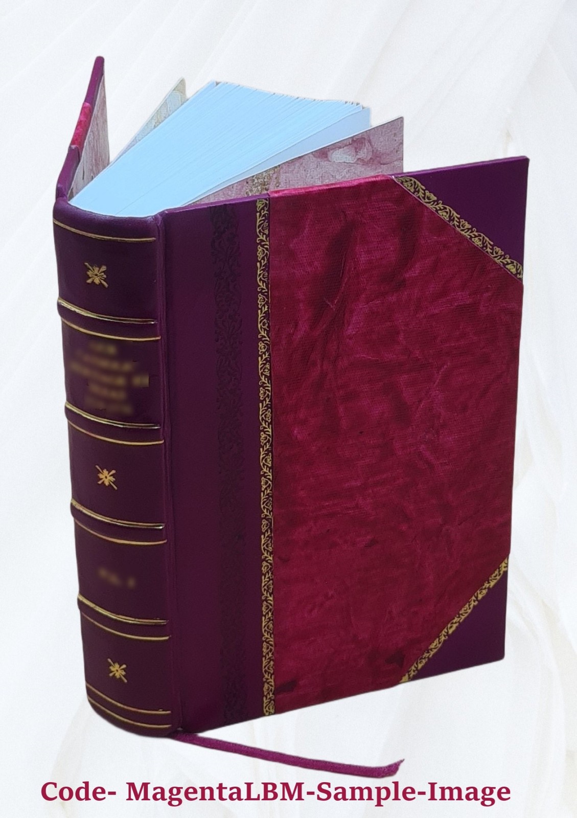 Catalog of T V. Catalog of Title Entries First Quarter 1905 1905 [Leather Bound]