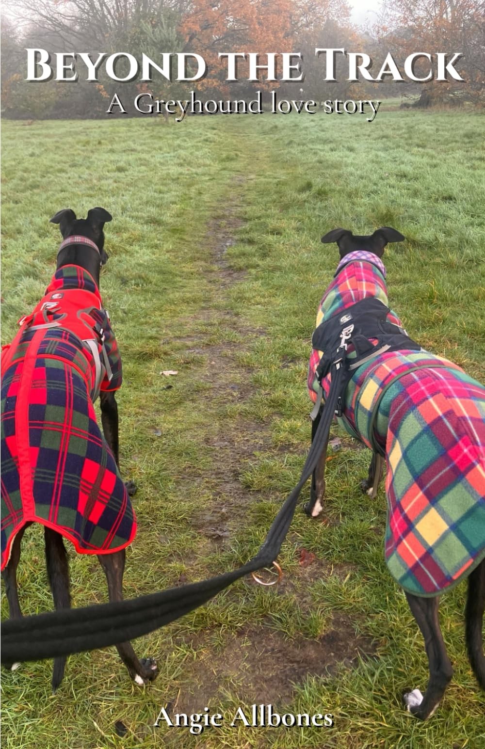 Beyond the Track: A Greyhound Love Story By Allbones ENG, Mrs An