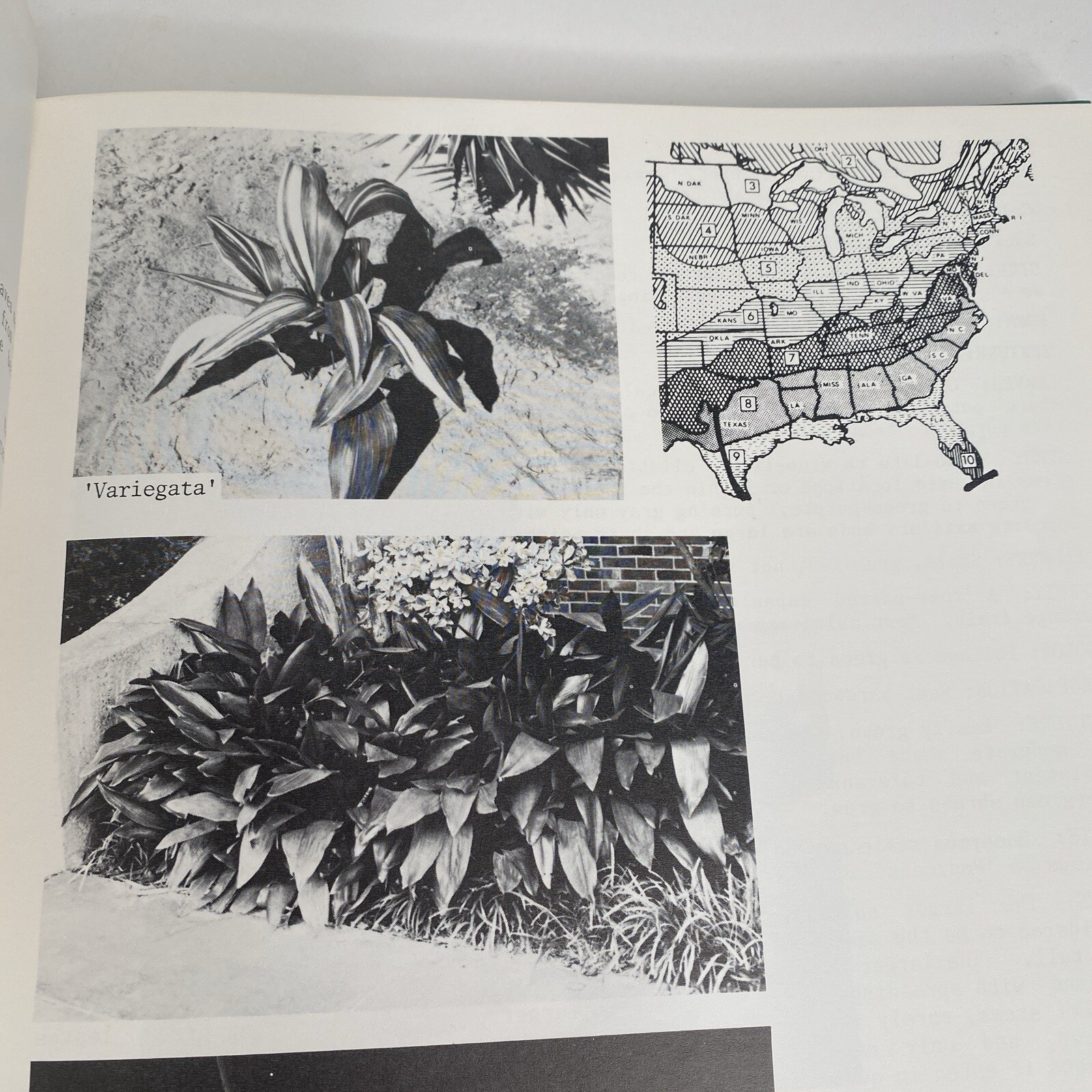 Know It & Grow It Guide II Identification and Use of Landscape Plants 720 Pages