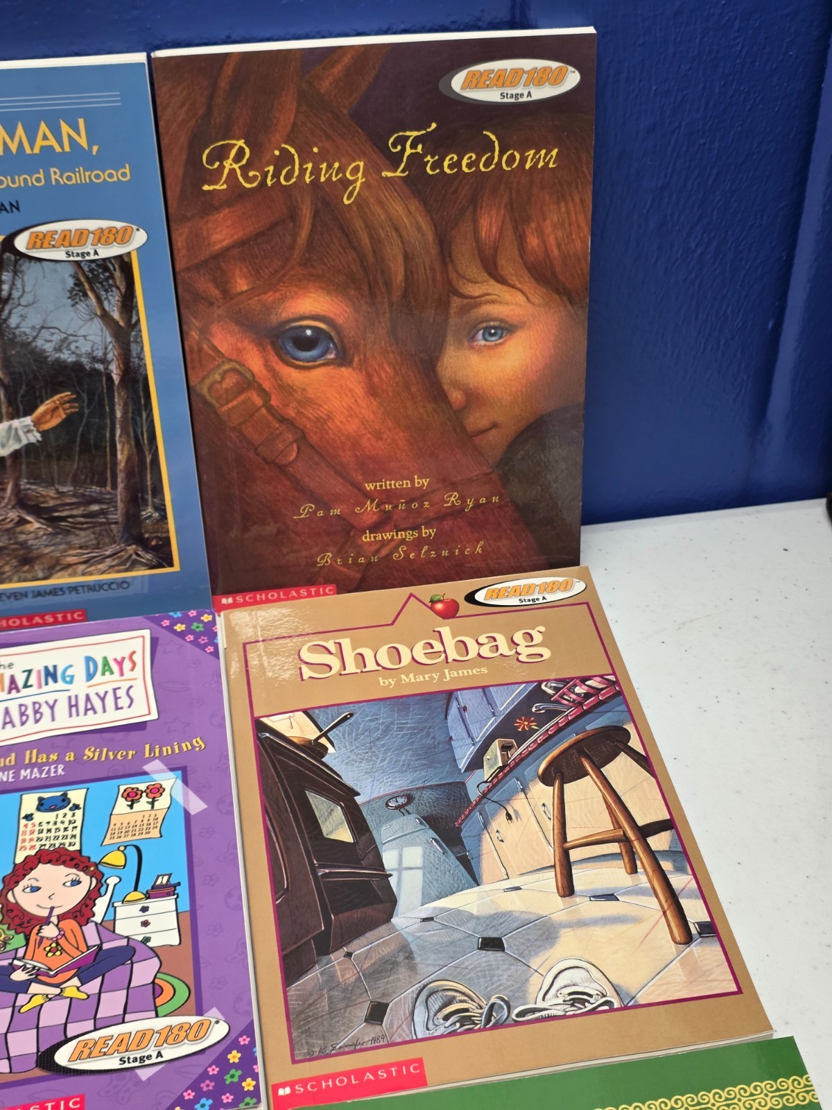 3rd-5th Grade – Scholastic READ 180 – Stage A, Level 3 Reading Books (9 books)