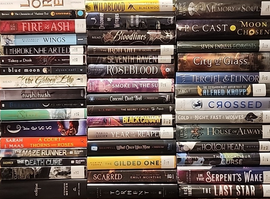RANDOM MIX Lot of 10 Young Adults YA Teen ROMANTASY SCI-FI DYSTOPIAN PARANORMAL