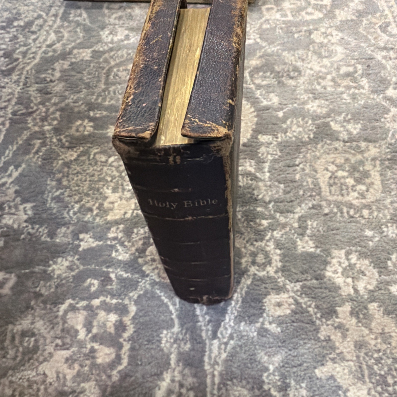 The Holy Bible 1881 New York American Bible Society Original Tongues.