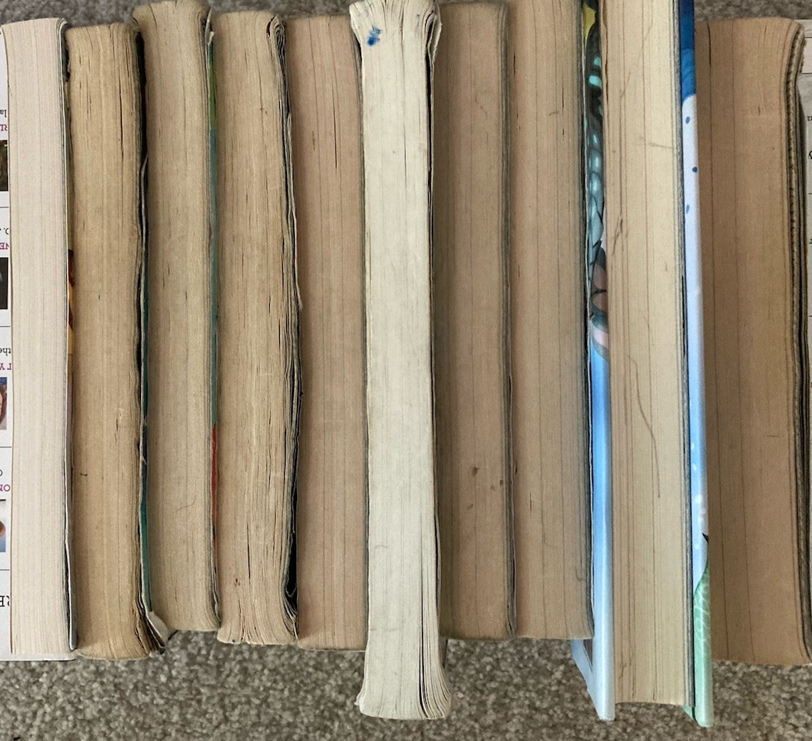 Wings of Fire by Sutherland: Books 1 thru 10 in Order – Ex-Library – Read Info