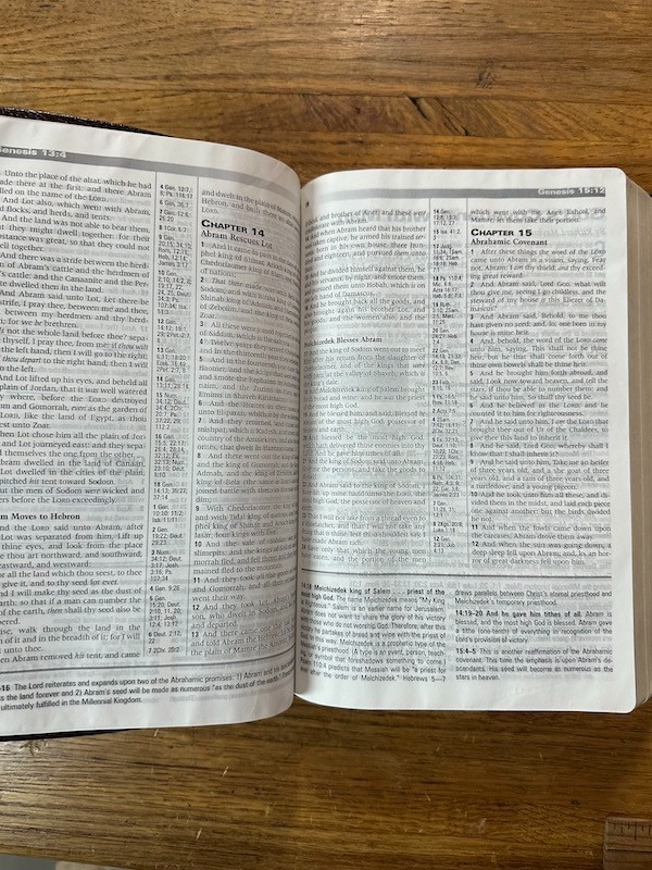 PROPHECY STUDY BIBLE Burgundy Leather KJV Red Letter TIM LAHAYE/DAVID WOOD 2000