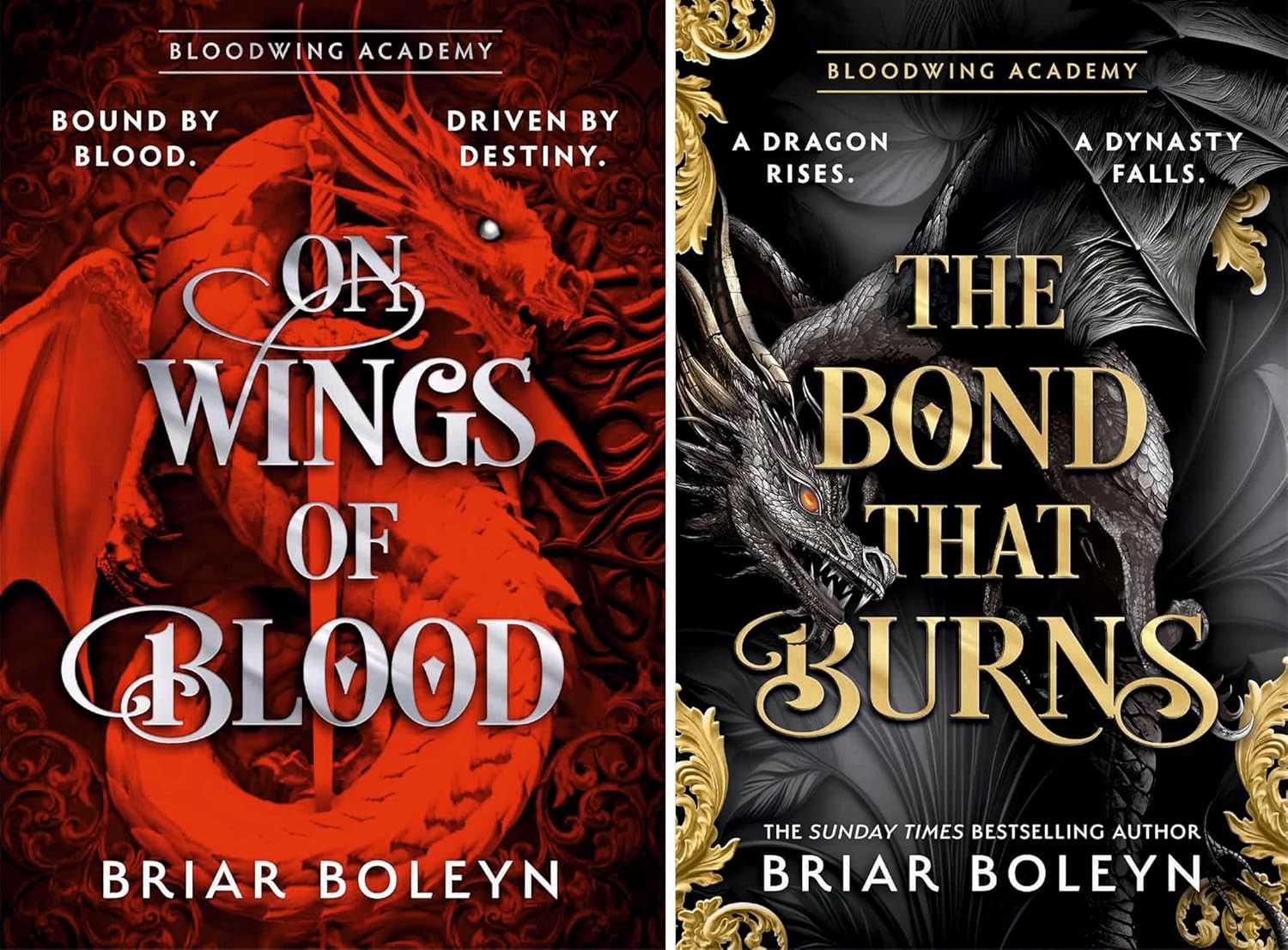 Bloodwing Academy 2 Book Series Set by Briar Boleyn Paperback