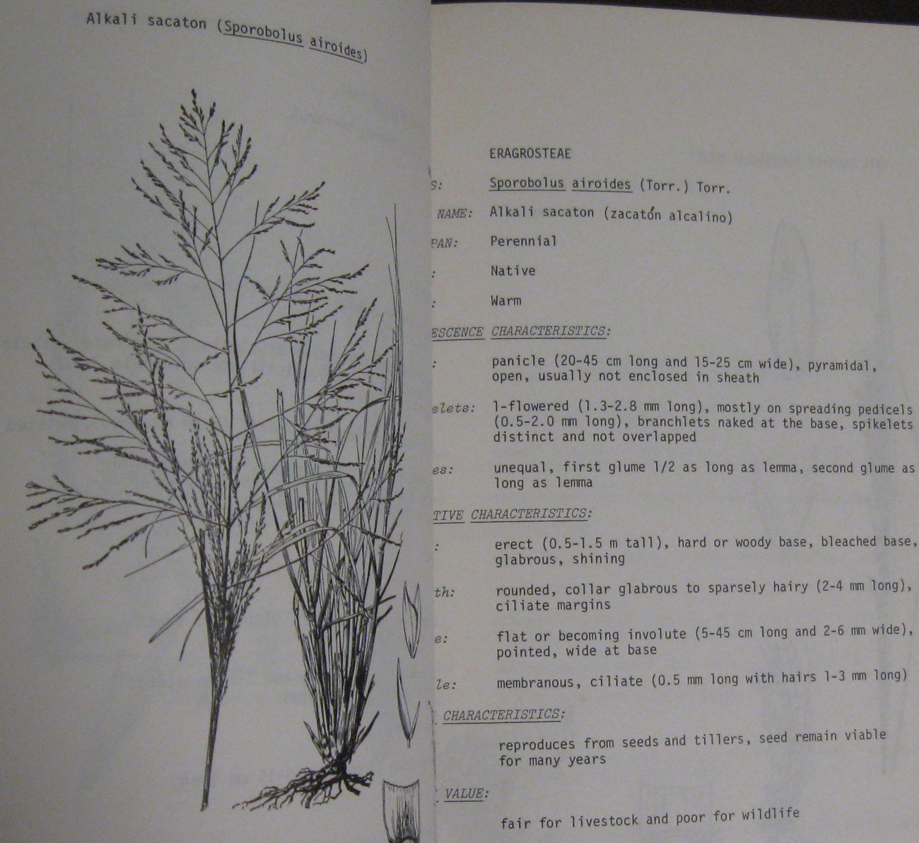 North American Range Plants by J. Stubbendieck Nebraska Press Jon Farrar Copy