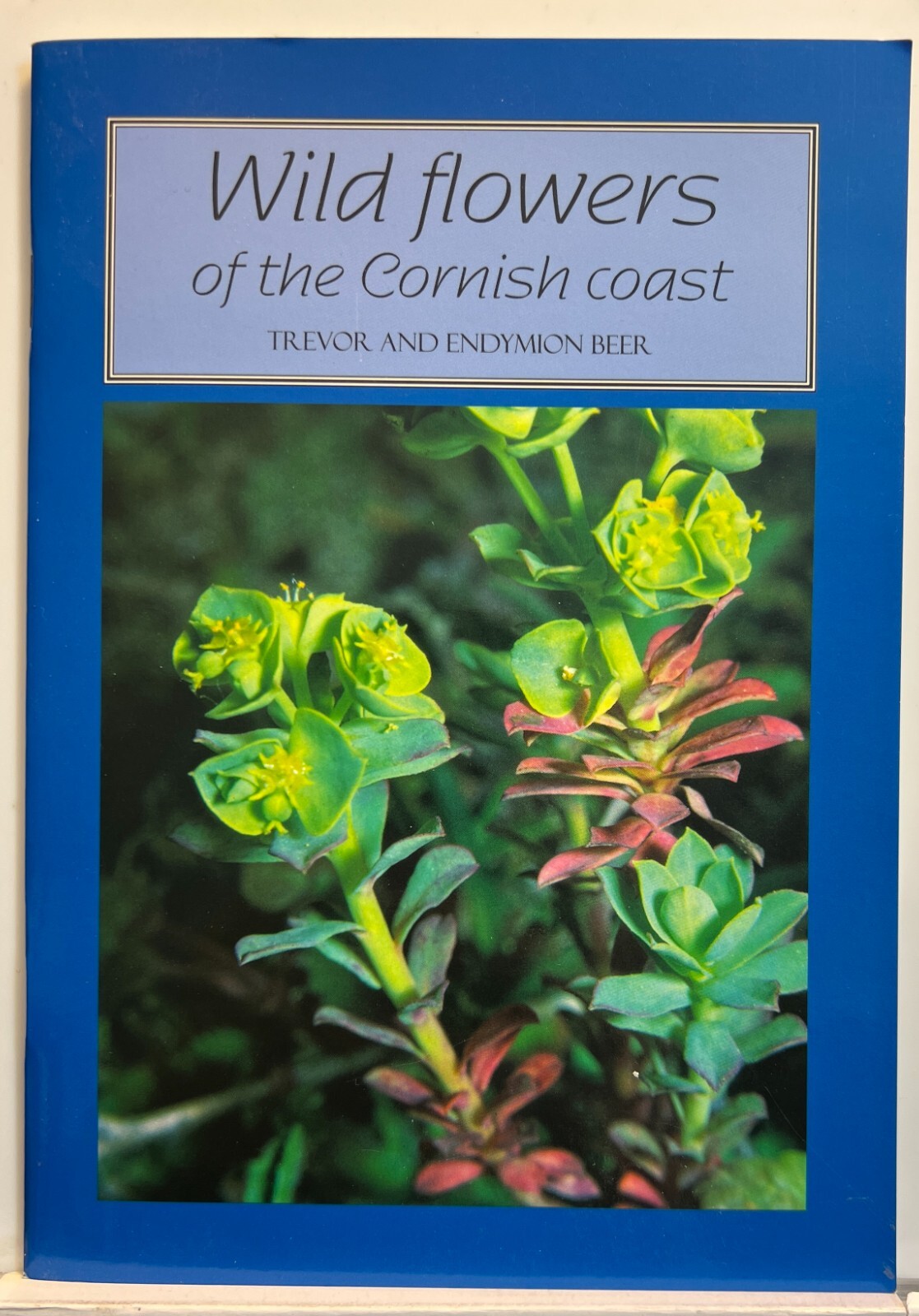 Trevor and Endymion Beer: Wild Flowers of the Cornish Coast (Paperback 32 Pages)