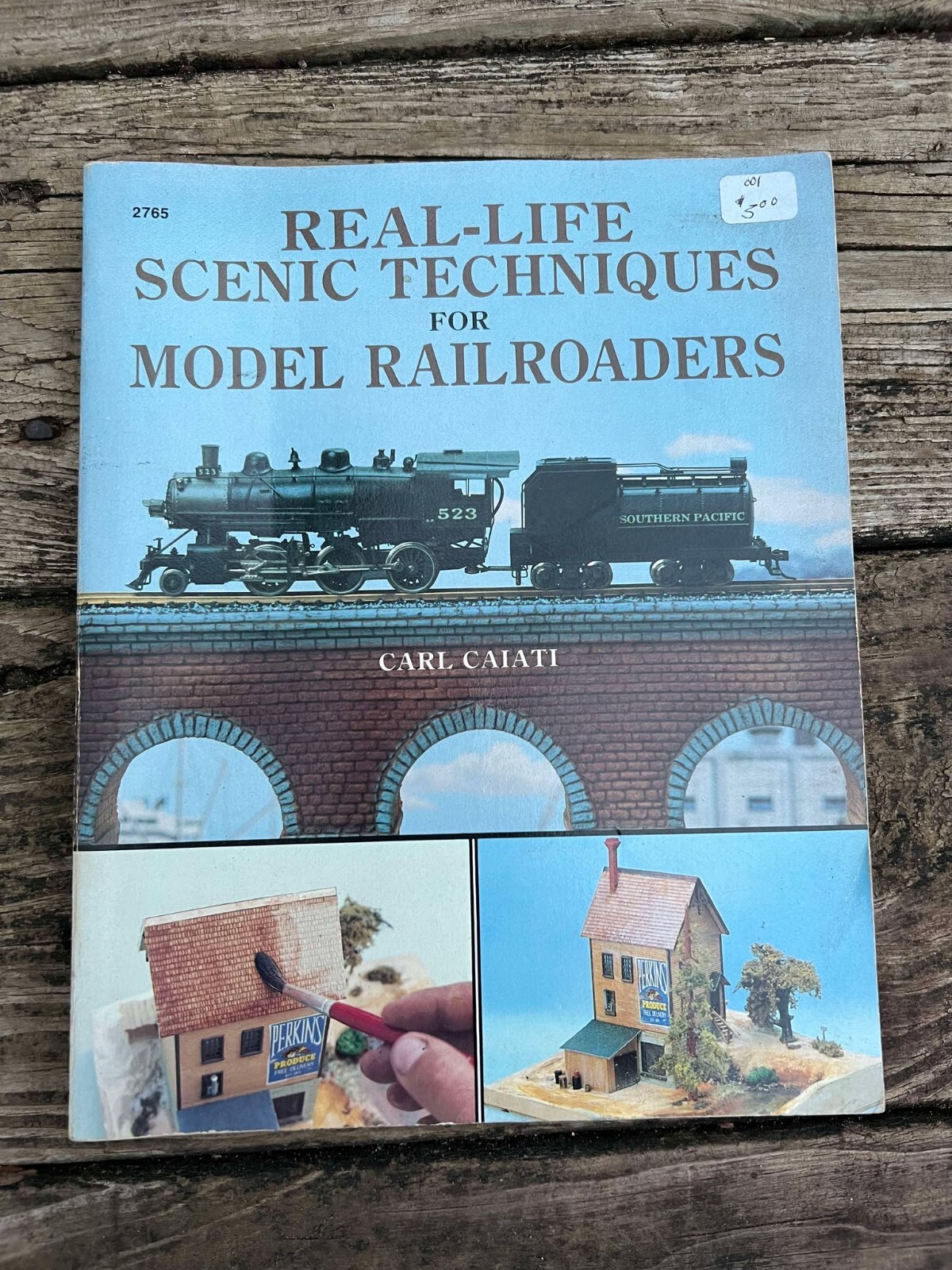 Real Life Scenic Techniques for Model Railroaders By Carl Caiati 161 Pages SC