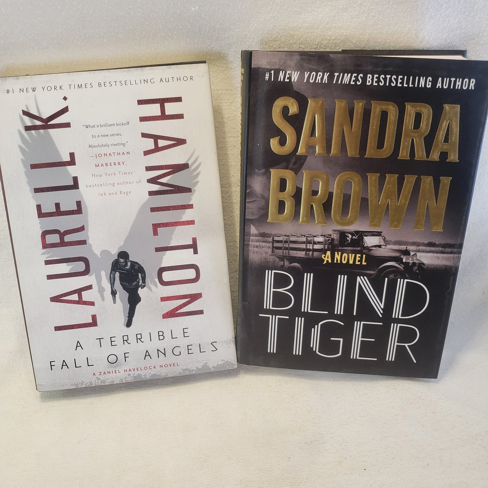 2 Novels- BLIND TIGER Sandra Brown & A TERRIBLE FALL OF ANGELS, Laurell Hamilton