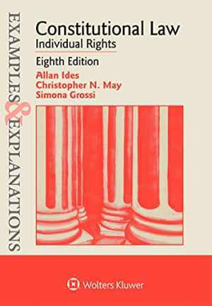 Constitutional Law (Examples & Explanations) – Paperback, by Ides Allan – Good