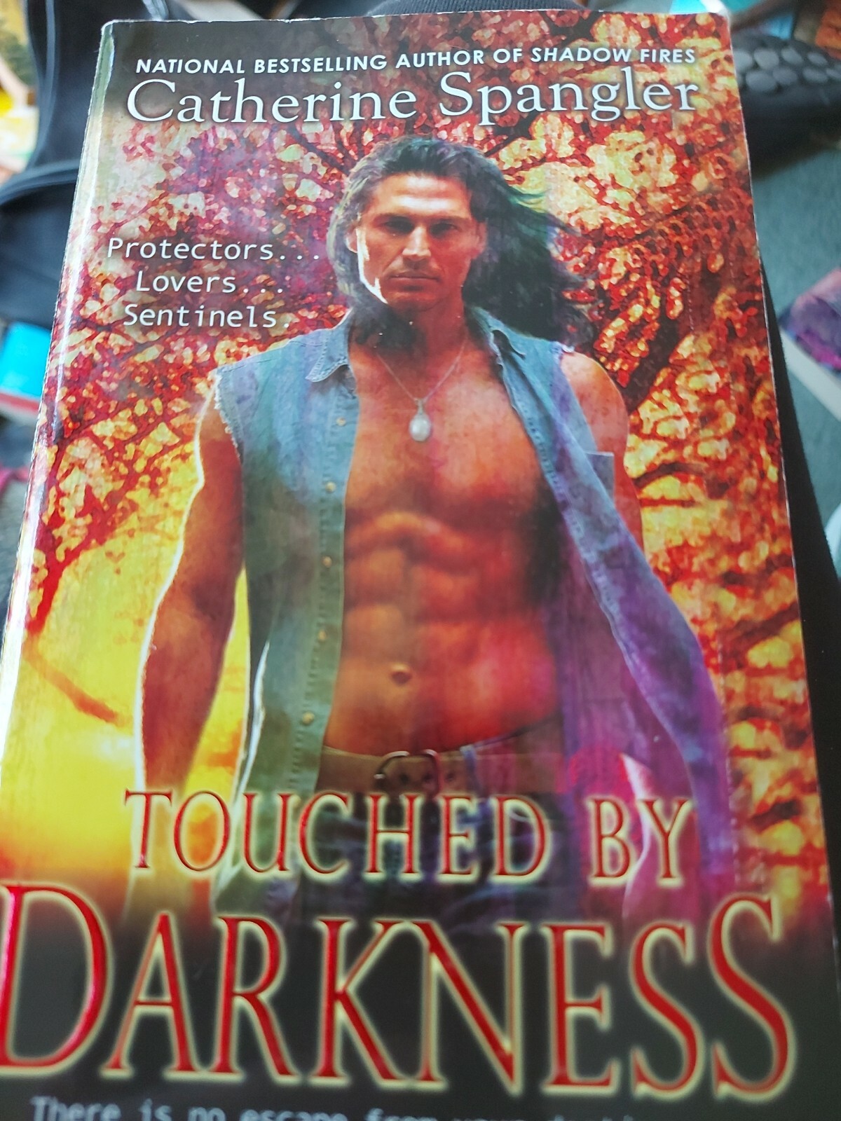 Touched by Darkness (Berkley Sensation) By Catherine Spangler