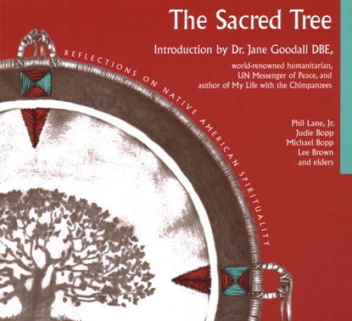 Sacred Tree: Reflections on Native American Spirituality – Paperback – VERY GOOD