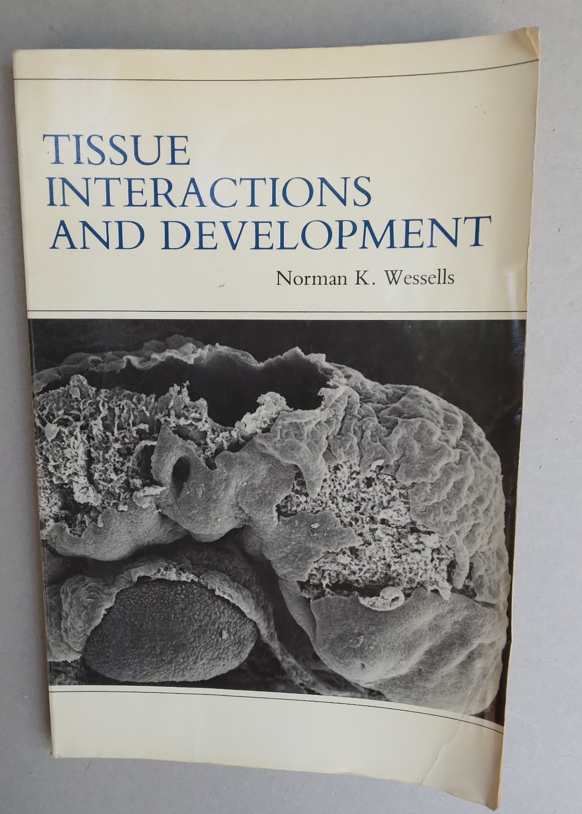 Tissue Interactions and Development–1977-Norman K. Wessells-276 pages-paperback