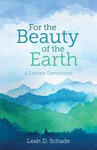 For the Beauty of the Earth – Paperback, by Schade Leah – Very Good