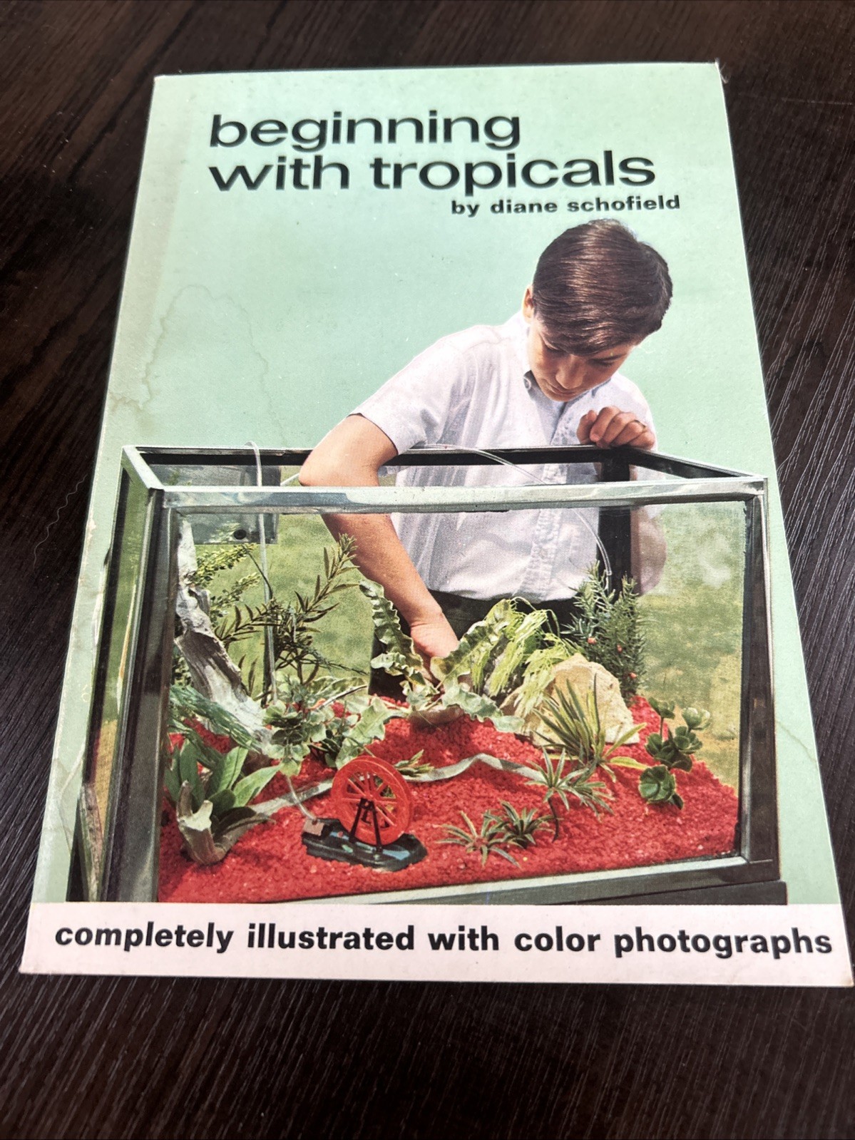 Extremely Rare 1966 Beginning With Tropicals Book- VG