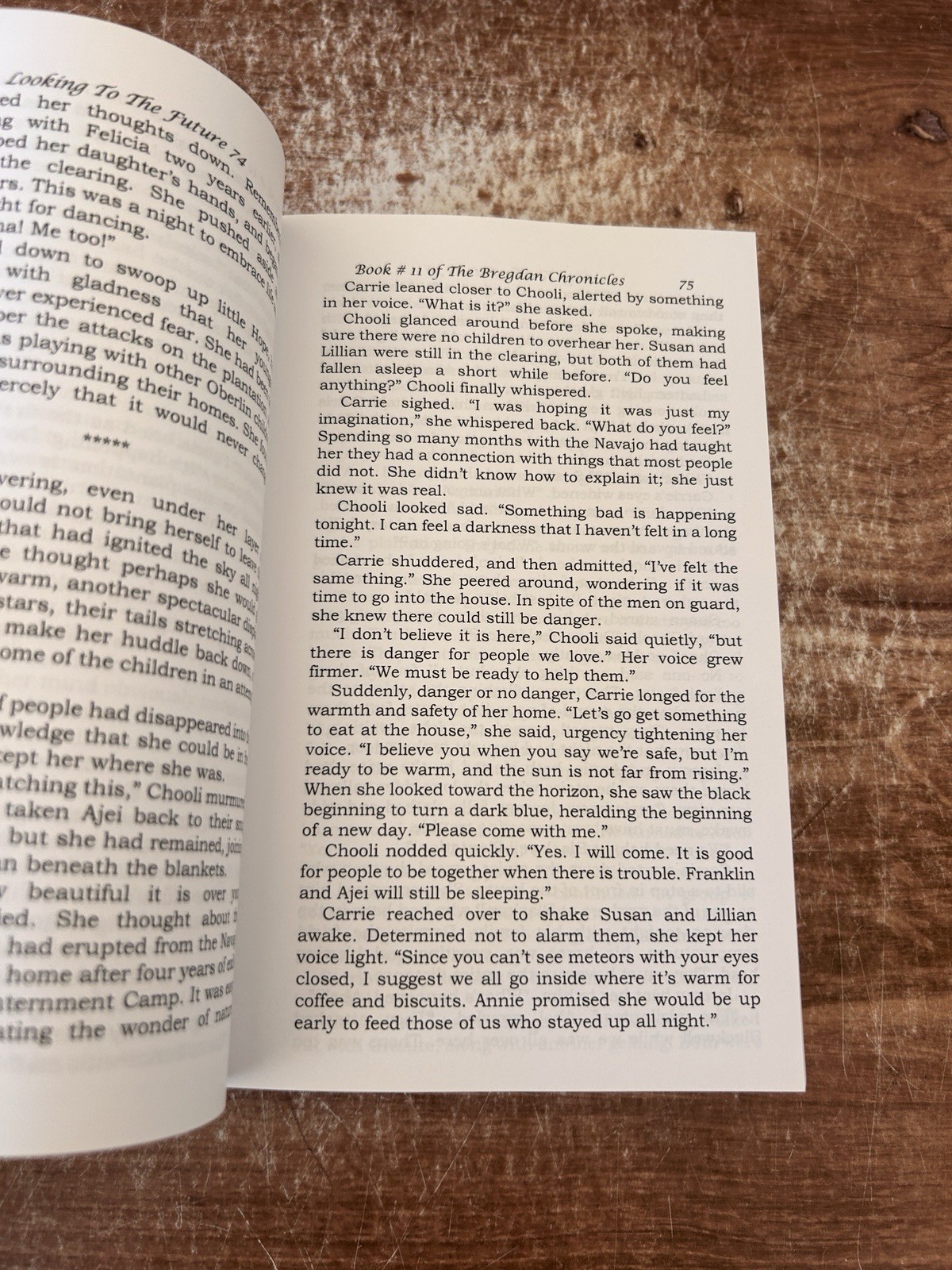 Looking To The Future (#11 in the Bregdan Chronicles Historical Fiction Roma…