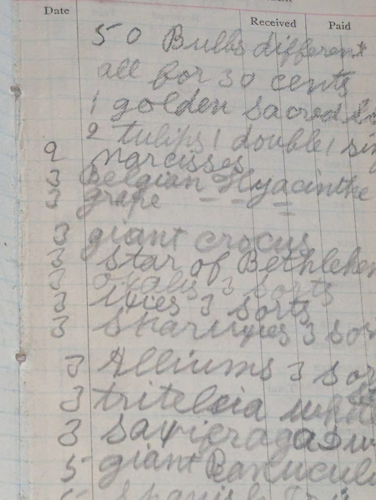 1902 Signed Woman’s Diary Jan 1 through Dec 31 Mattie Whitmer Pennsylvania
