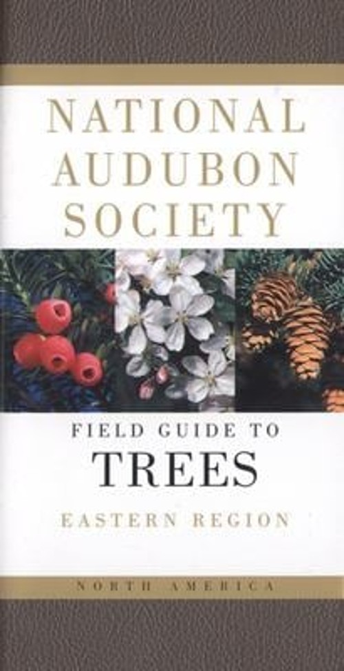 National Audubon Society Field Guide to North American Trees–E :