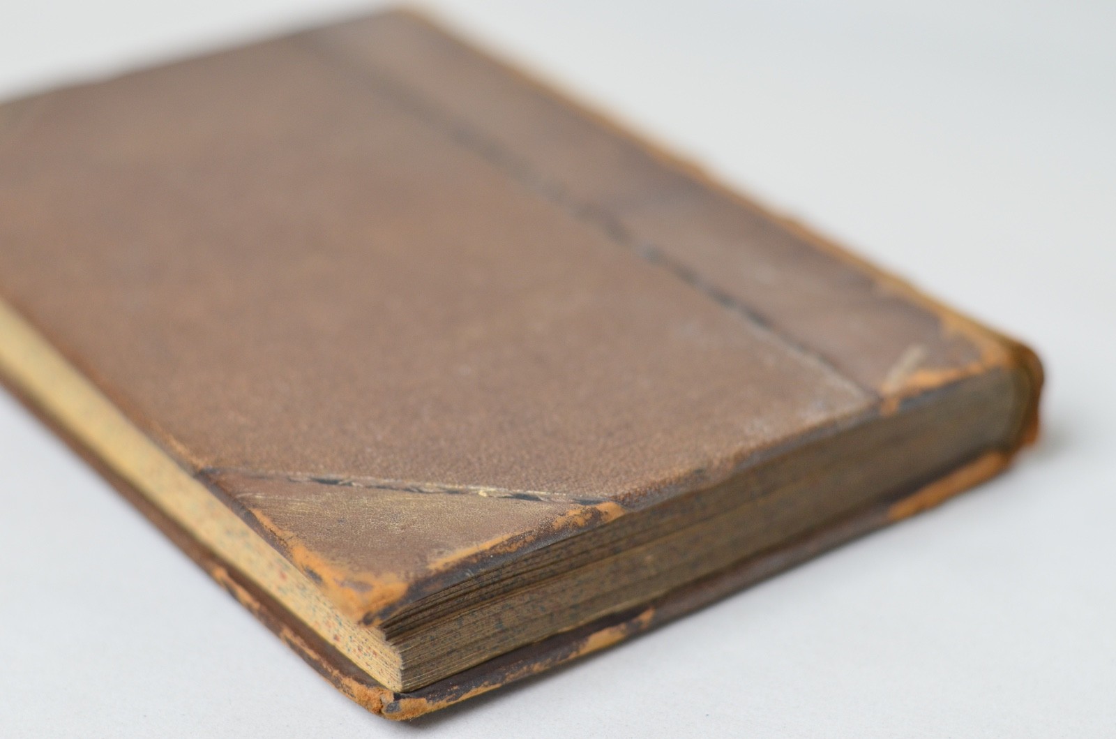 Antique Early Printing The Crown of Wild Olive by John Ruskin 1866
