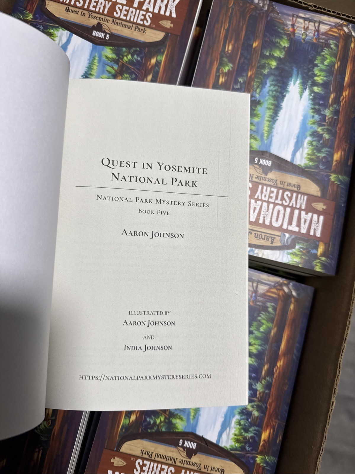 Quest in Yosemite National Park: A Mystery Adventure by Aaron Johnson Paperback