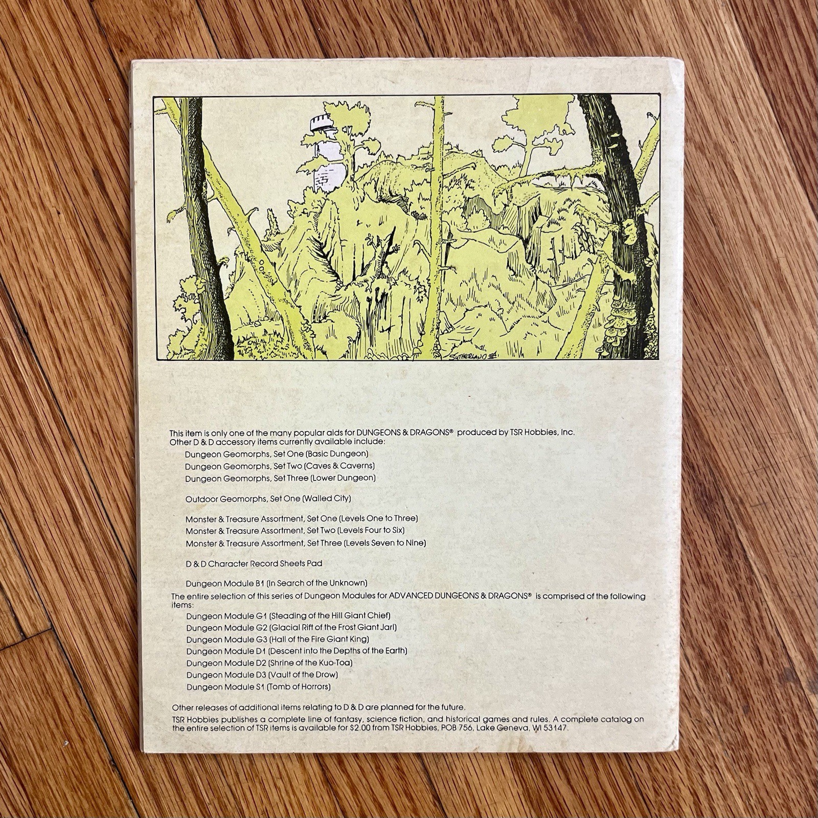 Dungeons and Dragons – Module B1 : In Search of the Unknown Adventure 1979 Carr