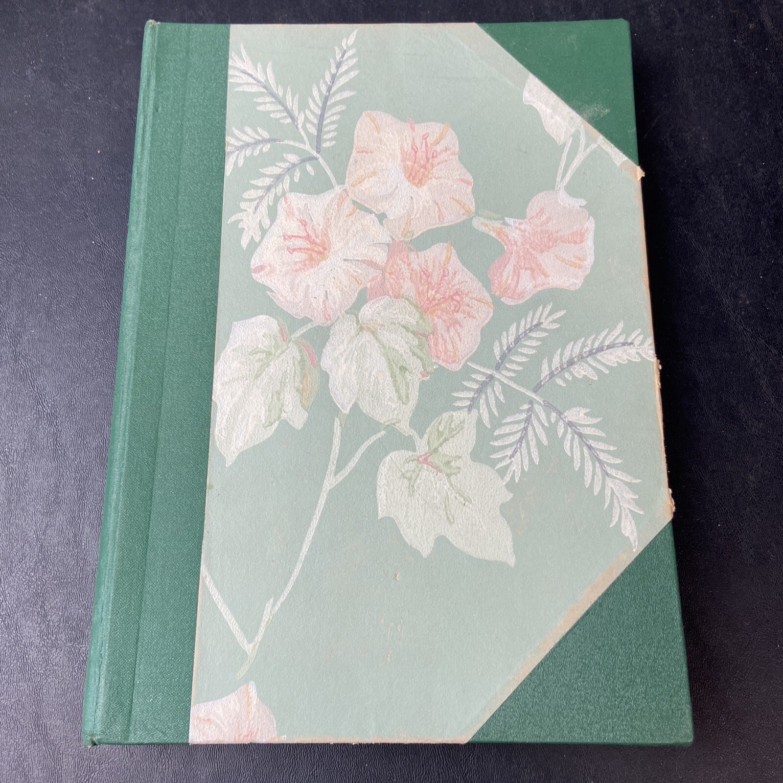 Scientific Monthly Volume 67 July-December 400+ Pages 1948