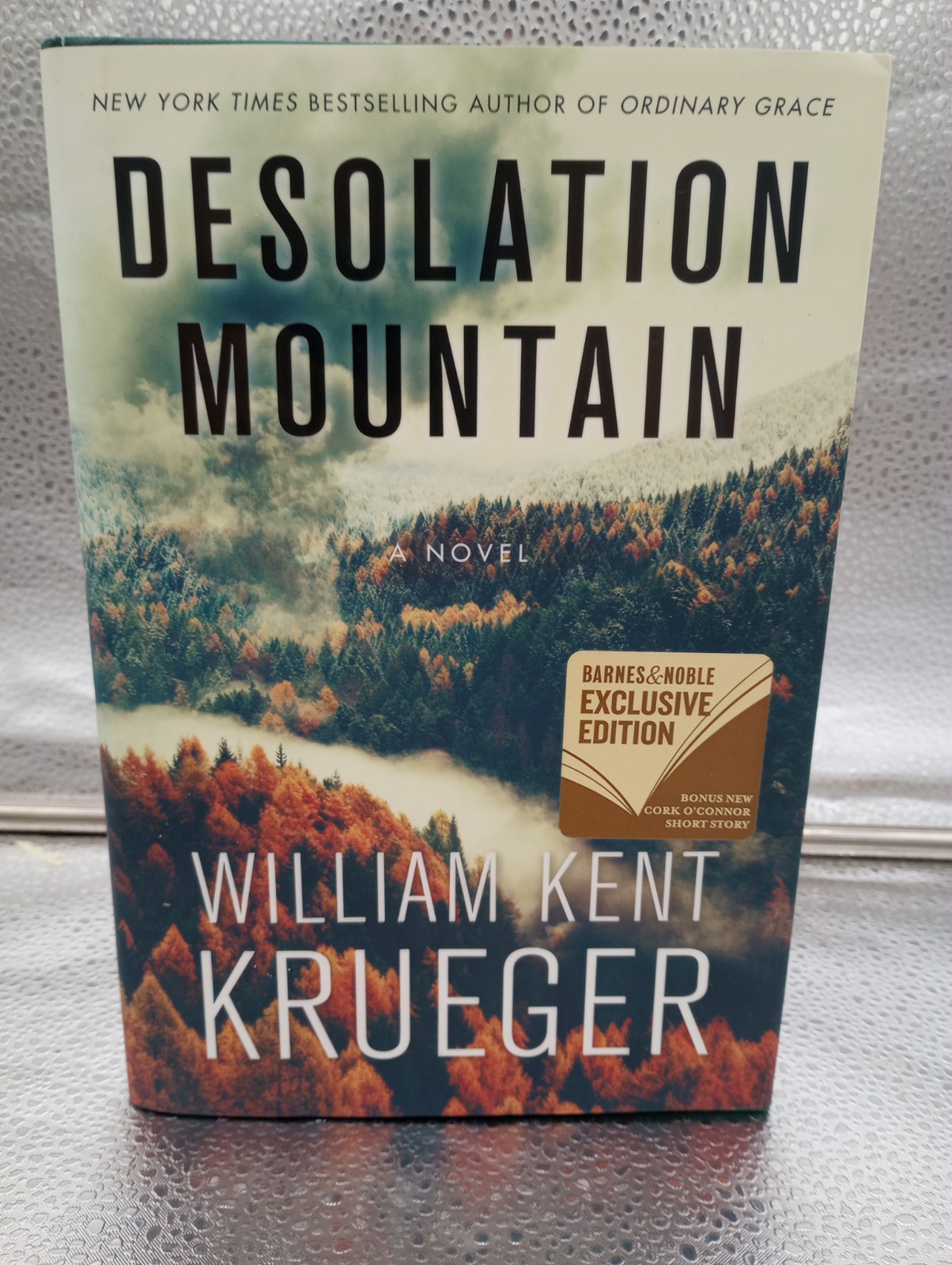 Desolation Mountain : A Novel Paperback William Kent Krueger