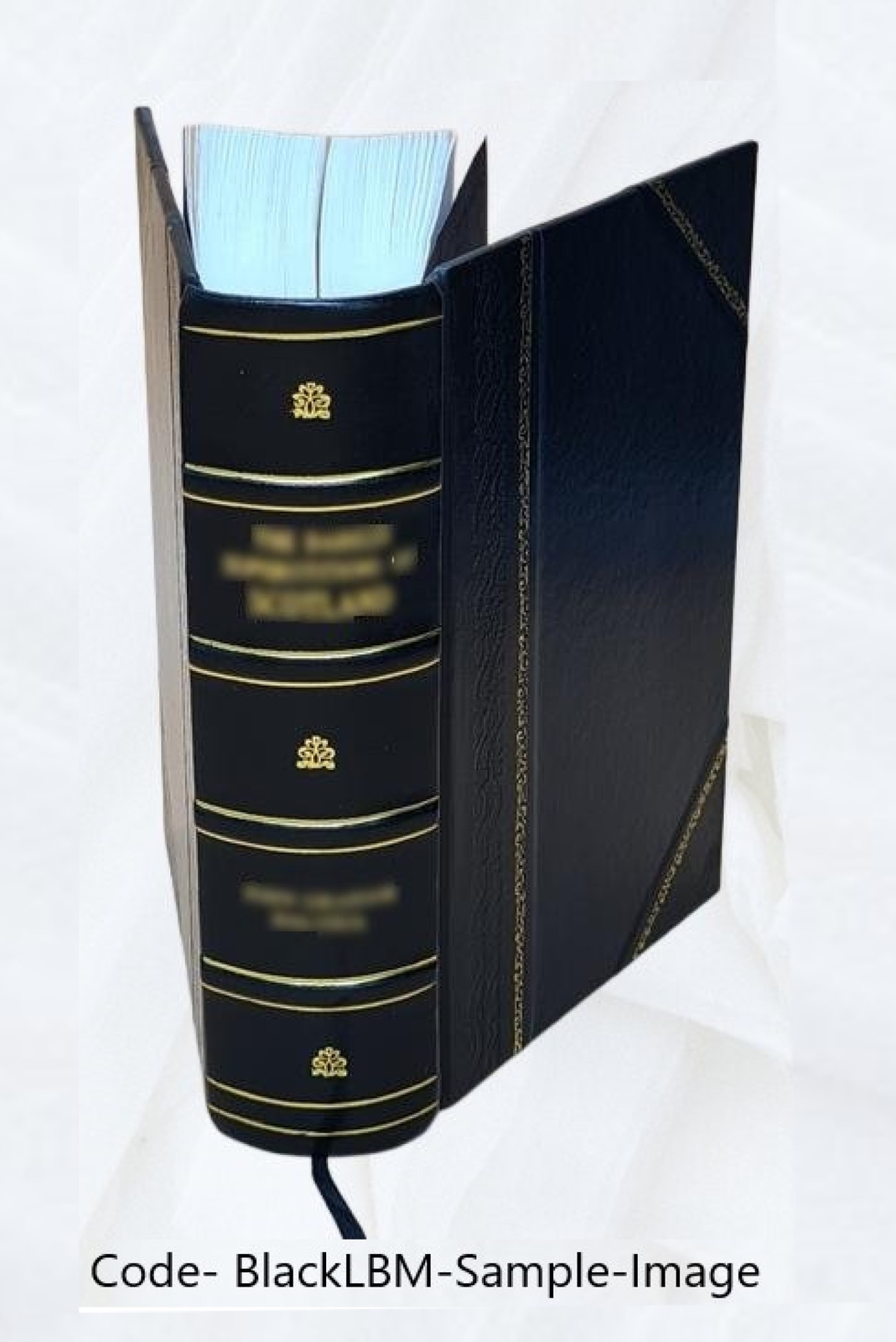 United States Statutes At Large / Compiled, Edited, And Indexed [Leather Bound]