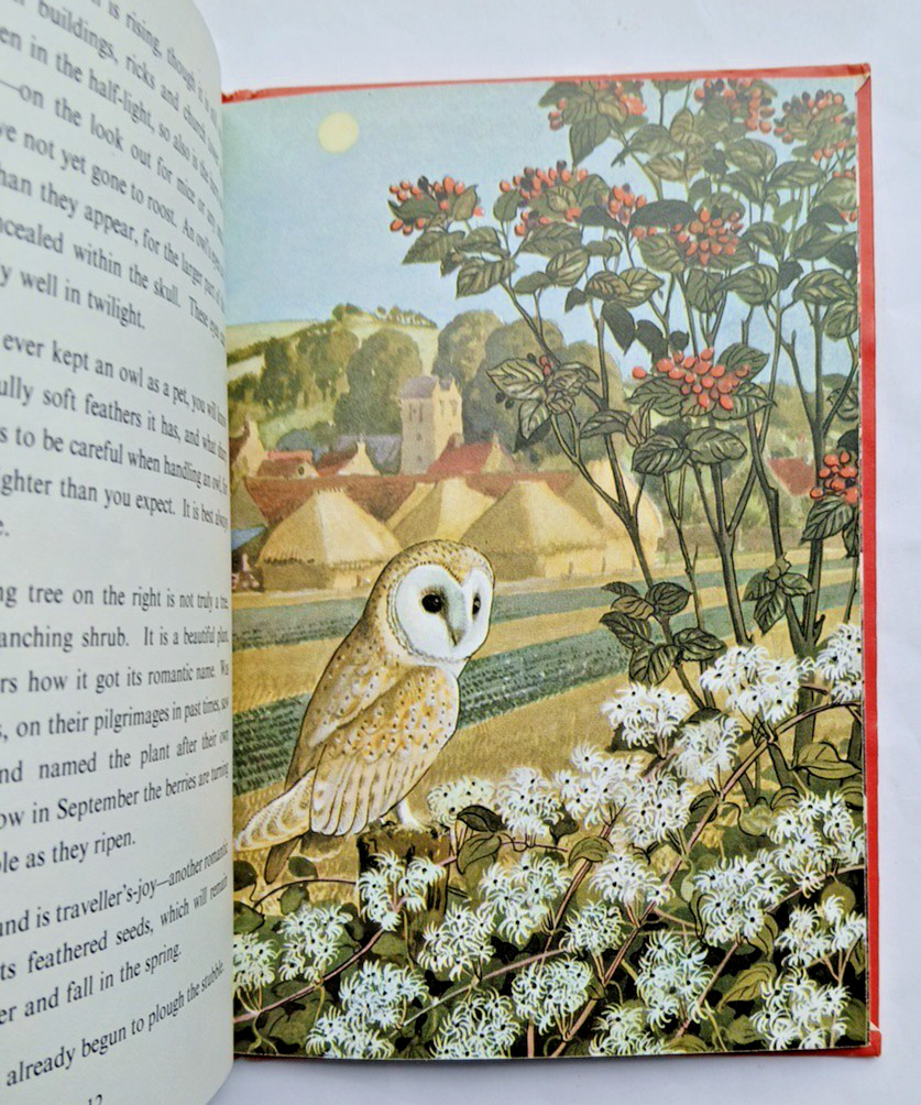 Ladybird What to look for in Autumn 1973, Vintage 4 Seasons Book, Gd+ condition