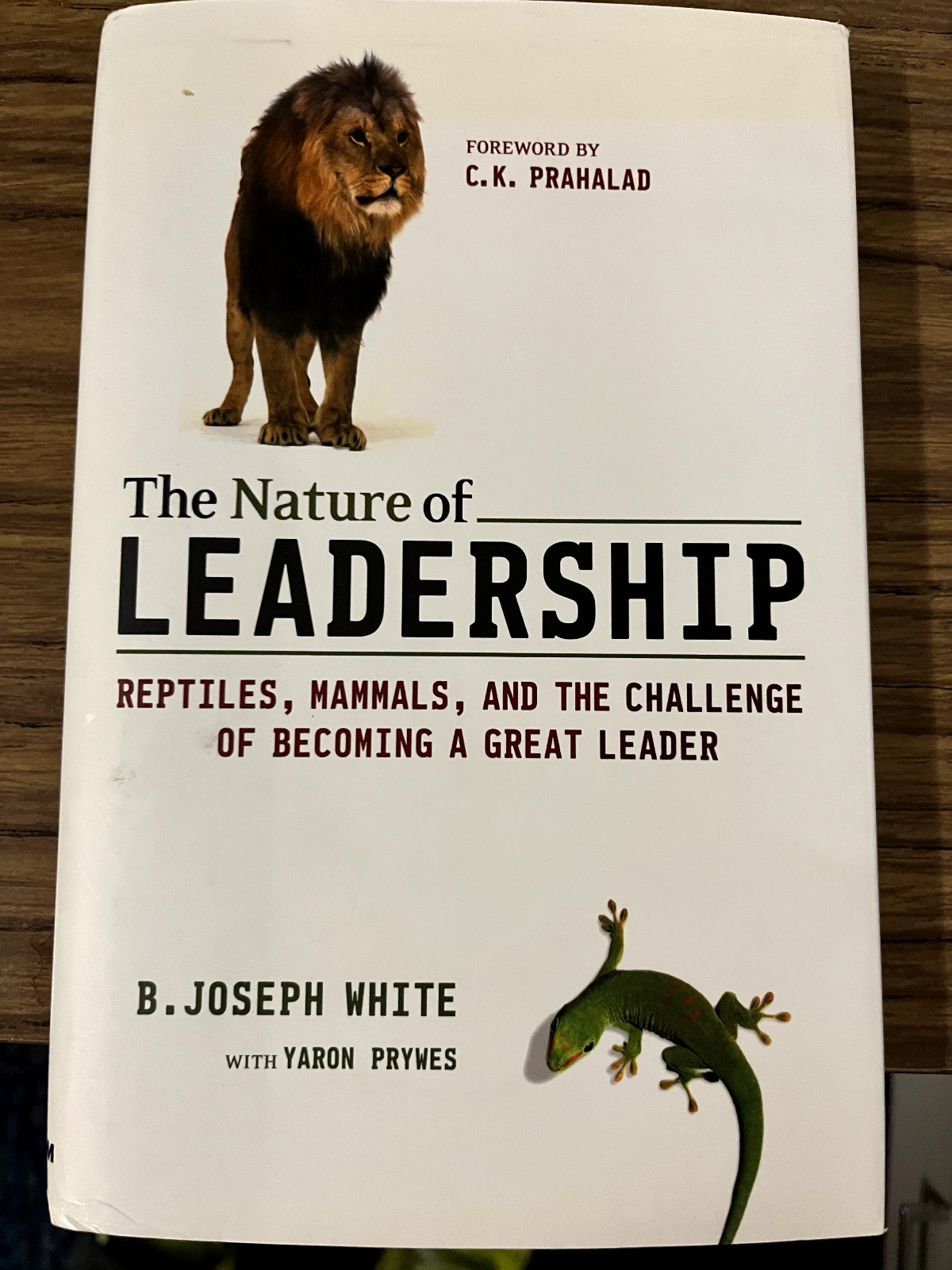 The Nature of Leadership: Reptiles, Mammals, and the Challenge of Becomin – GOOD