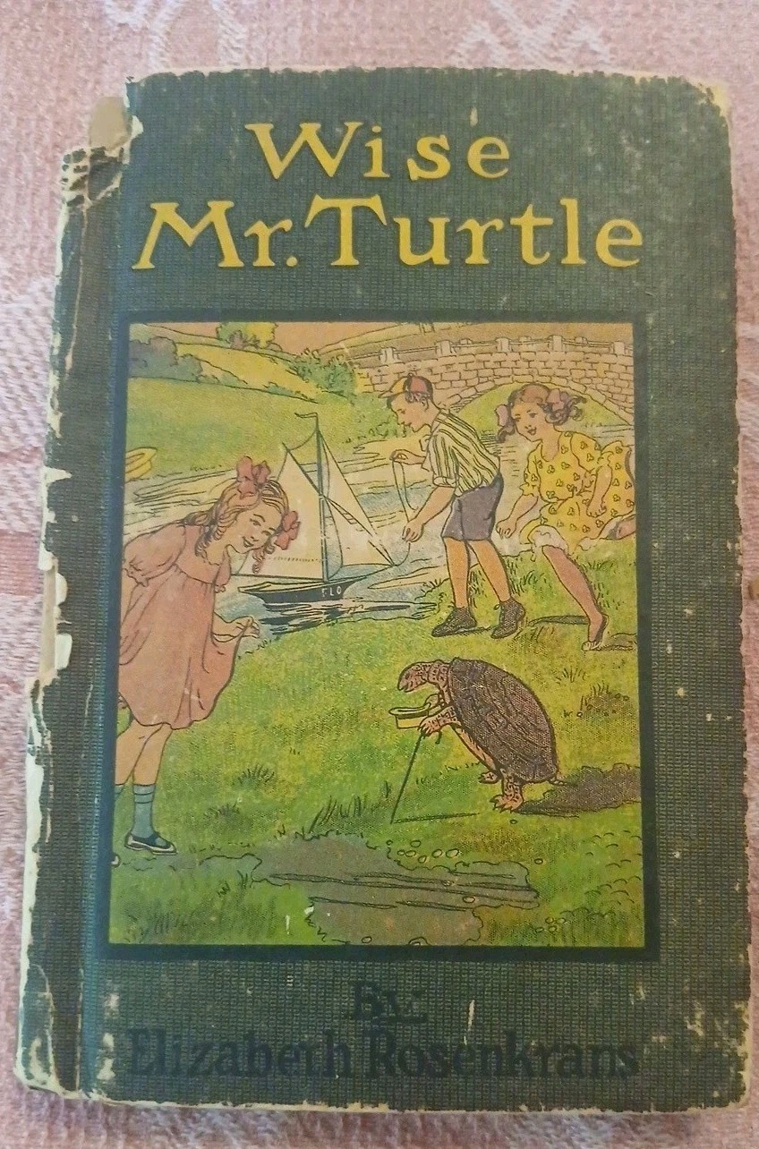 Antique Wise Mr Turtle Children’s Book Elizabeth Rosenkrans Animal Stories 1920s
