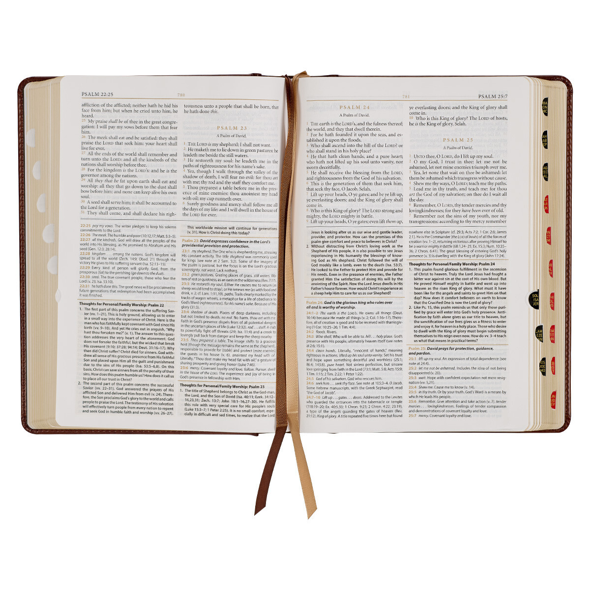 The Holy Bible King James Version Study Bible Indexed Toffee/Burgandy Hardcover