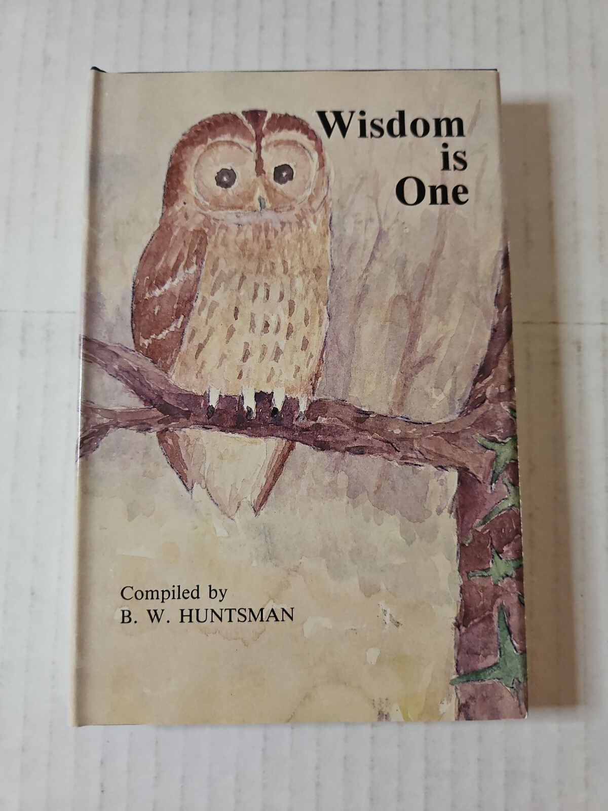 WISDOM IS ONE By B W Huntsman – HCDJ