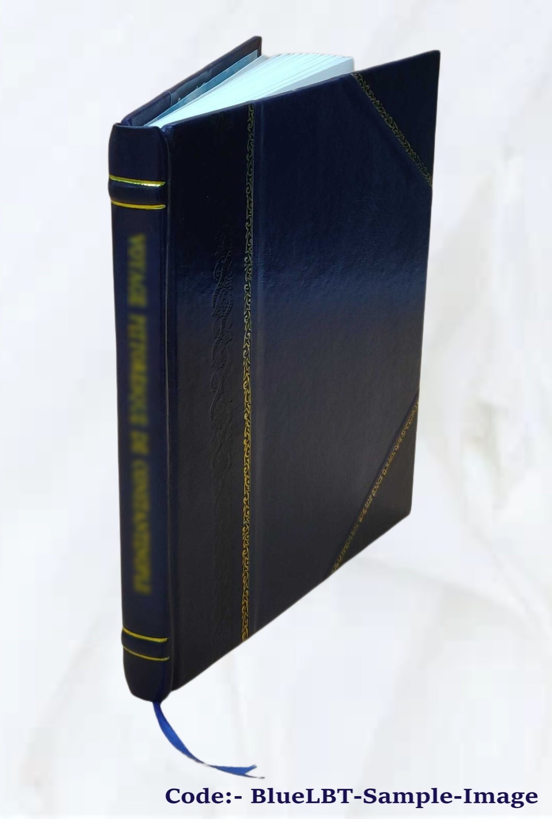 Iconoclasm and whitewash, and other papers 1885 [Leather Bound]