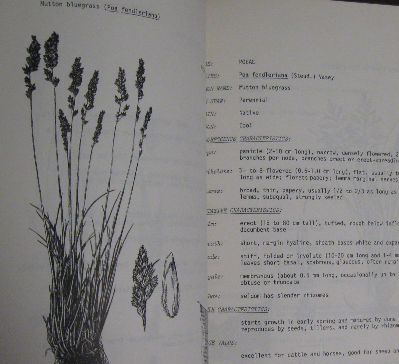 North American Range Plants by J. Stubbendieck Nebraska Press Jon Farrar Copy