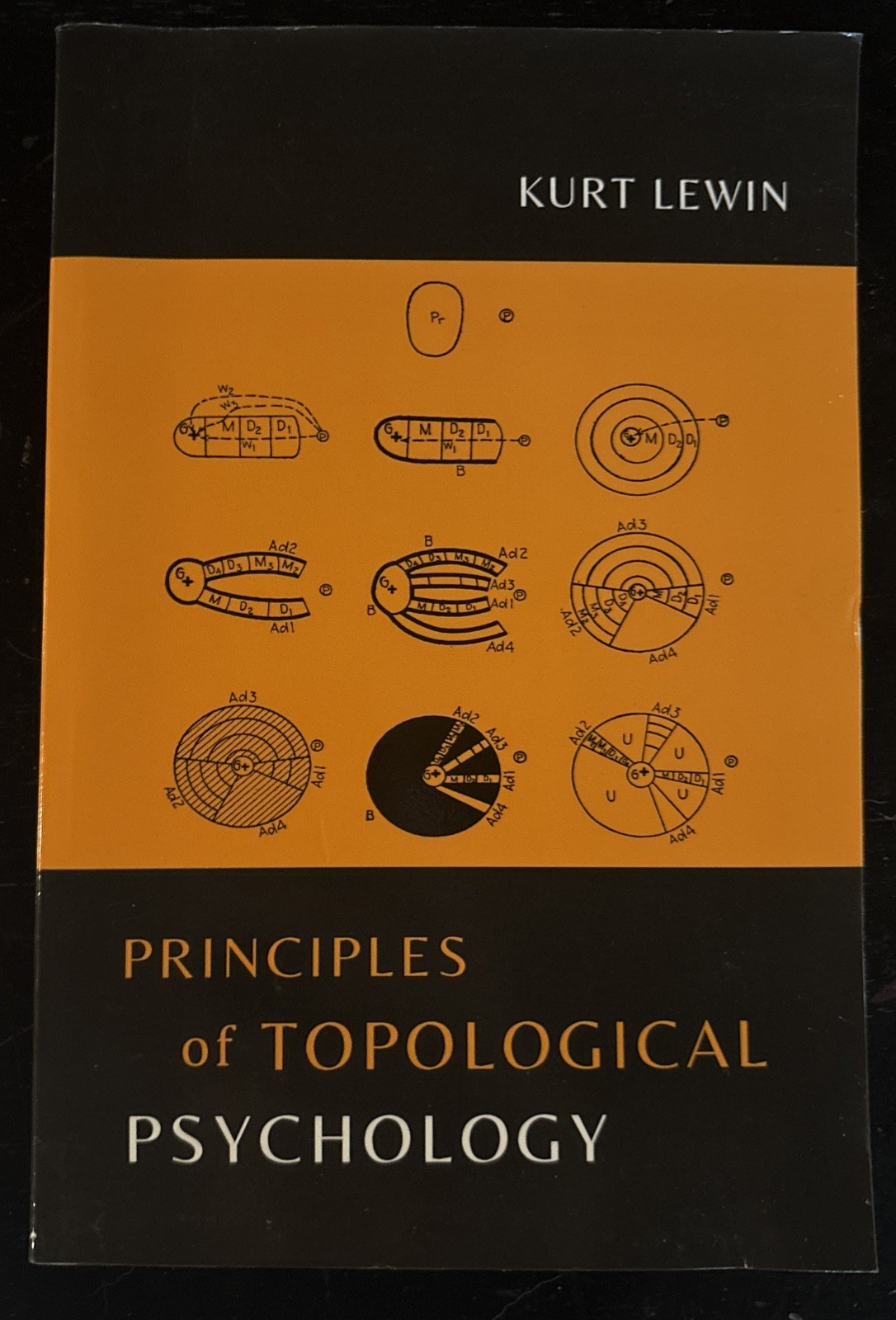 Principles of Topological Psychology by Kurt Lewin, VERY GOOD CONDITION