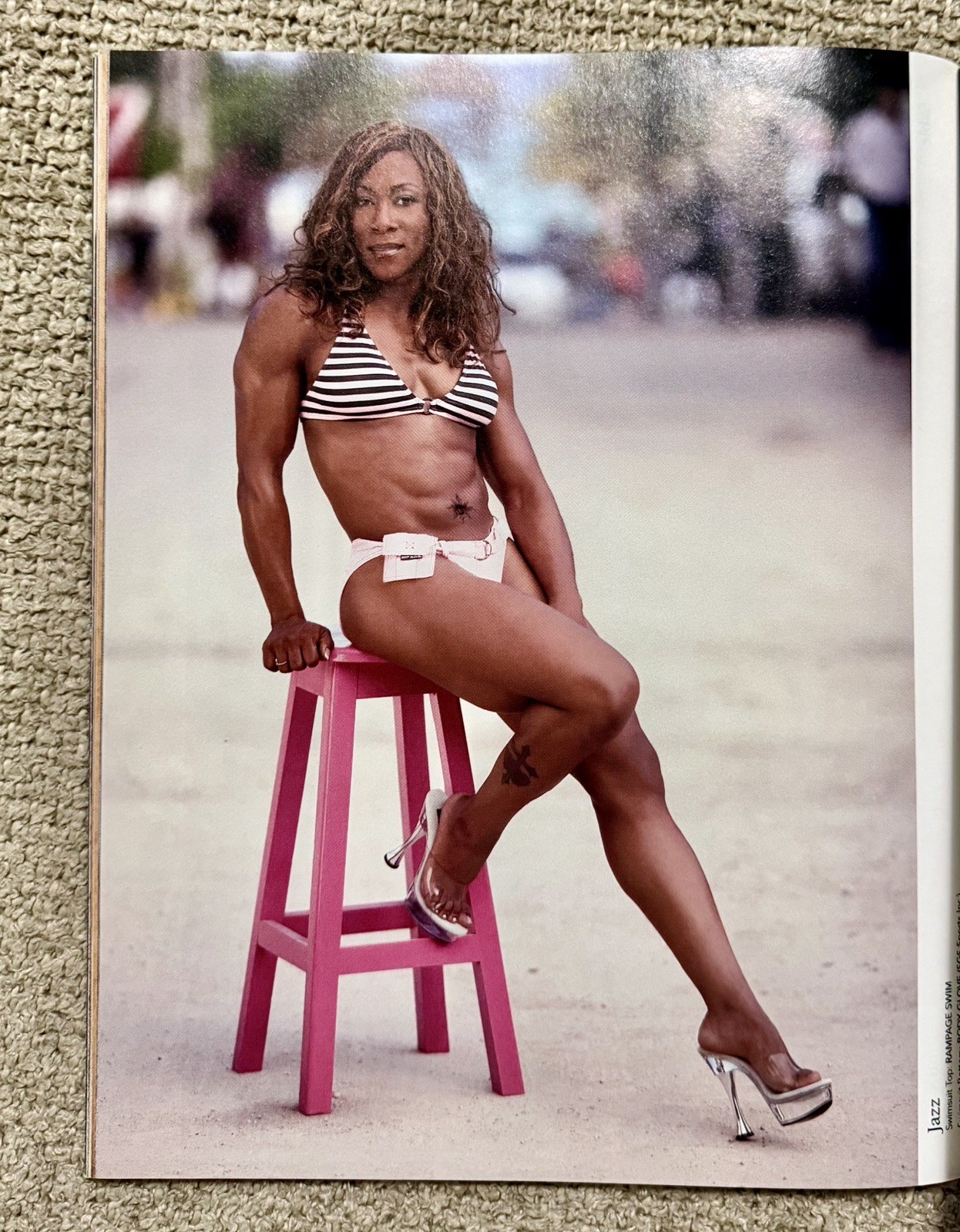 WWE DIVAS: (2004), 120 Pages of Beautiful DIVA Legends, TORRIE WILSON Cover, NM