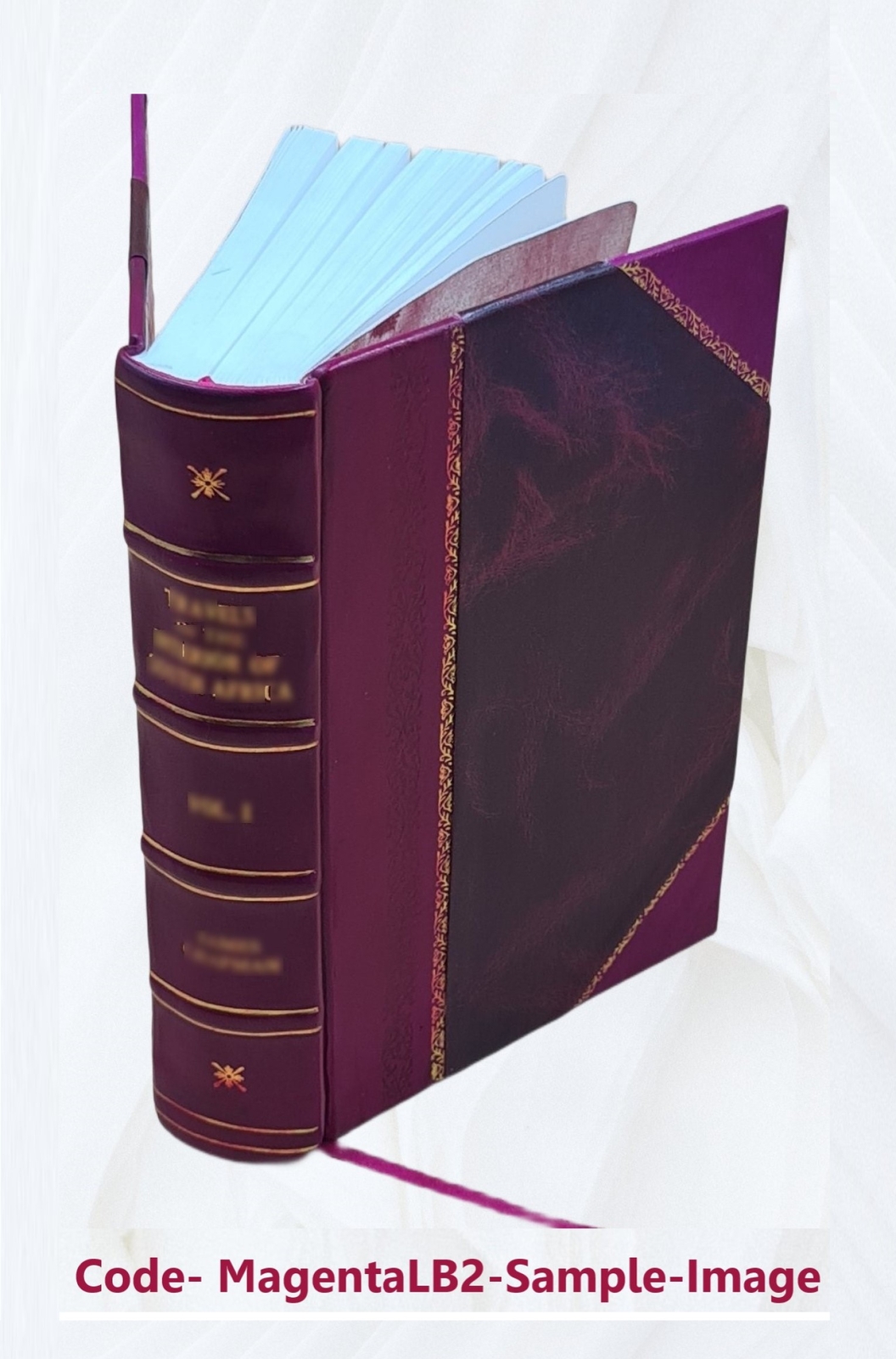 Naturalistic Photography For Students Of The Art 1889 [Leather Bound]