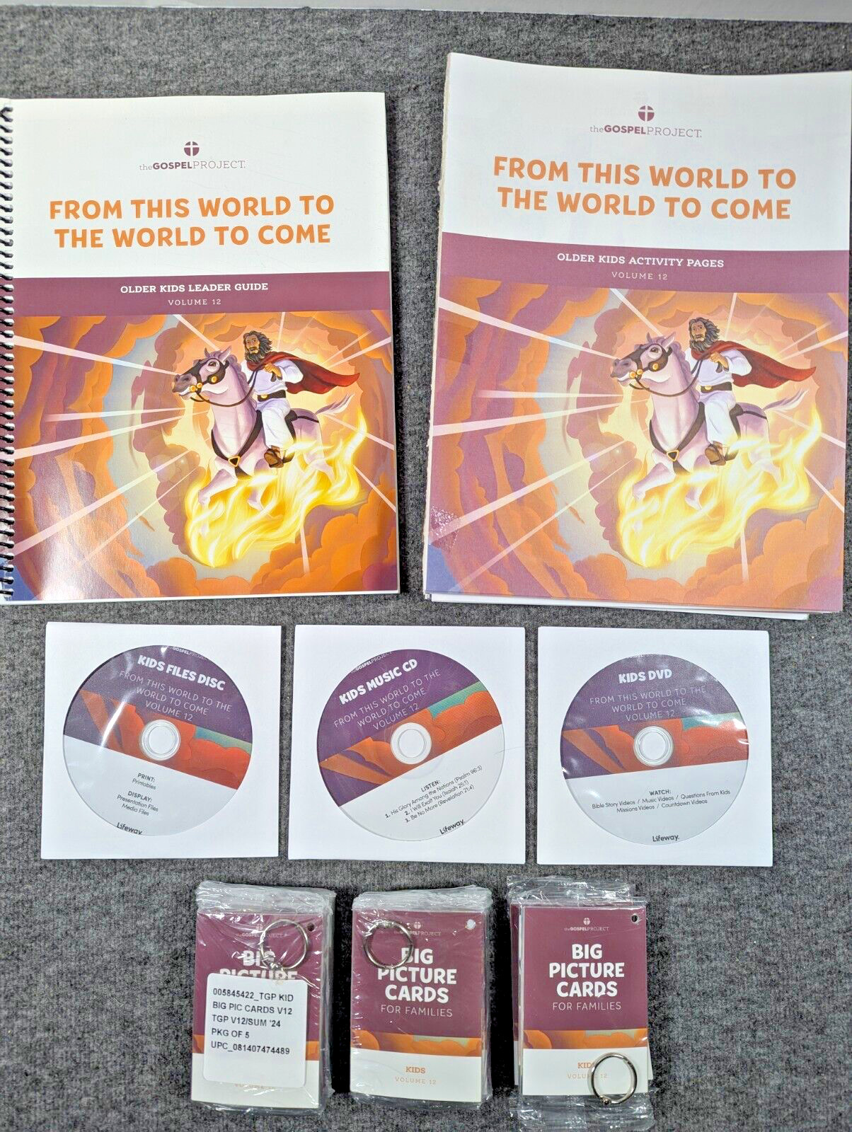 The Gospel Project for Kids Bundle Volume 12, Leader Guide Activity Pages DVD…