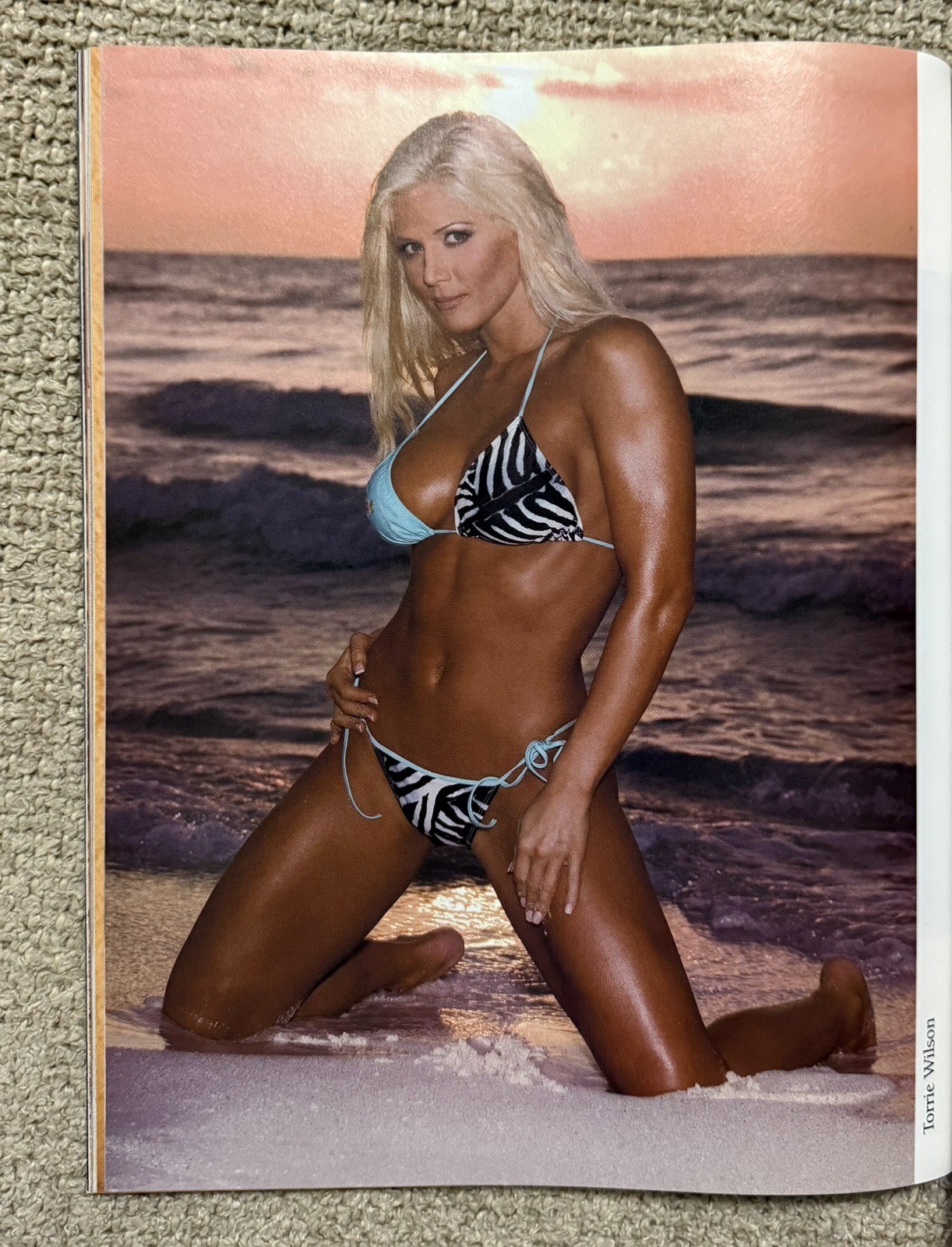 WWE DIVAS: (2004), 120 Pages of Beautiful DIVA Legends, TORRIE WILSON Cover, NM
