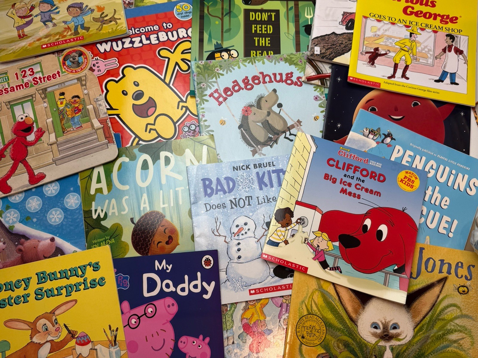 Random Lot of 20 Books for Children’s/ Kids/ Toddler/Preschool/Daycare Paperback