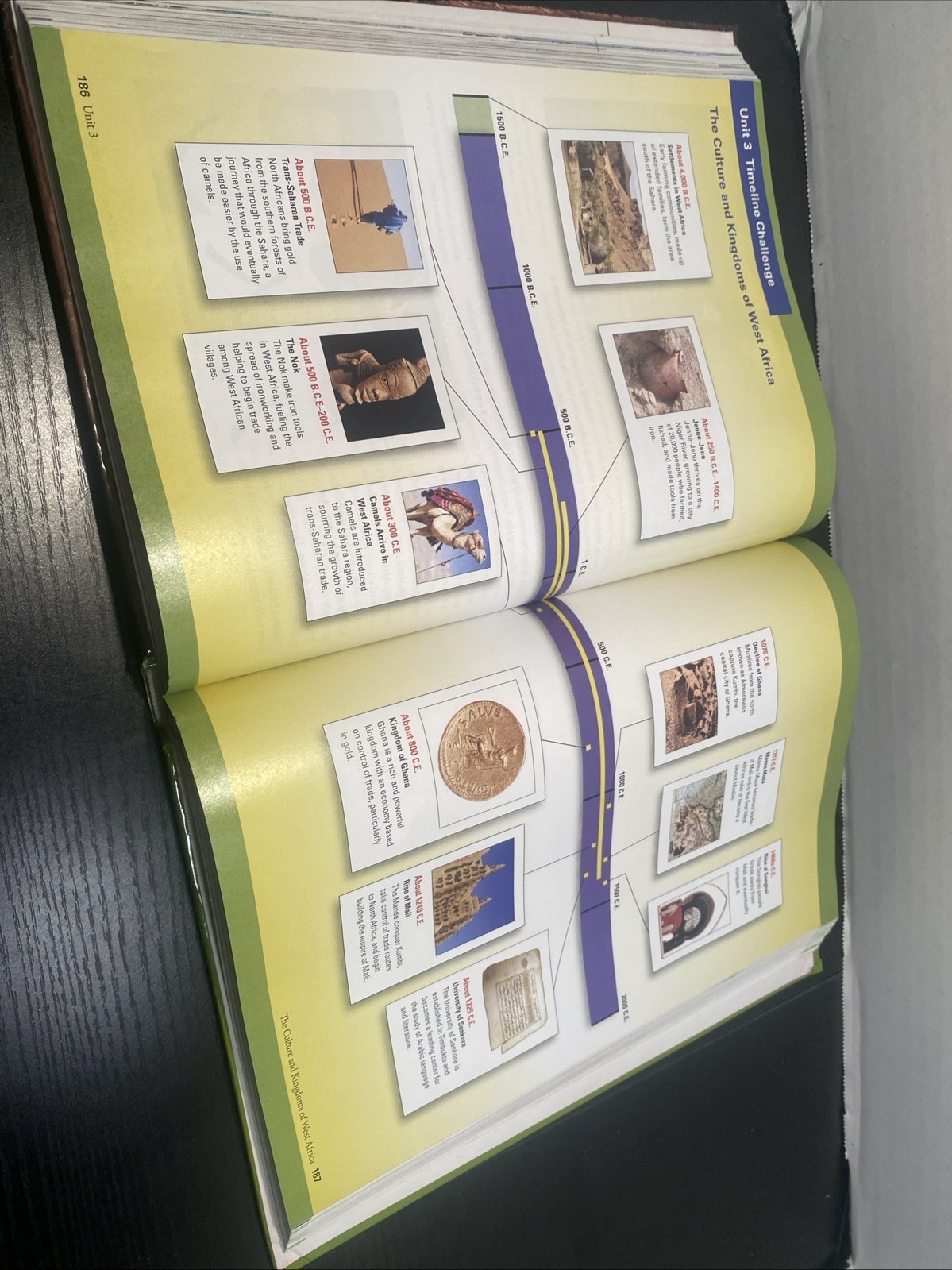 History Alive! The Medieval World – 2017 Edition – Hardcover By TCI