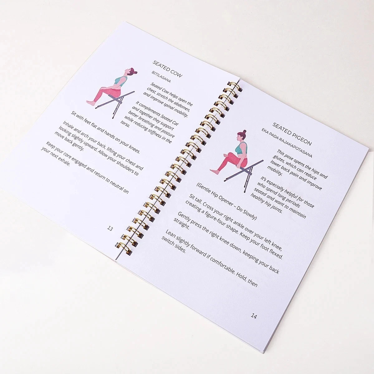 Chair Yoga Guide Weight Loss Strength Flexibility Seated Workout Book