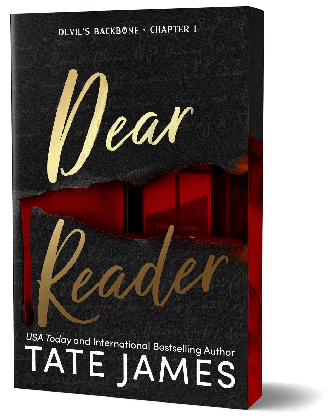 Dear Reader (Deluxe Edition): A Dark Academia Why Choose Romance (Devil’s…