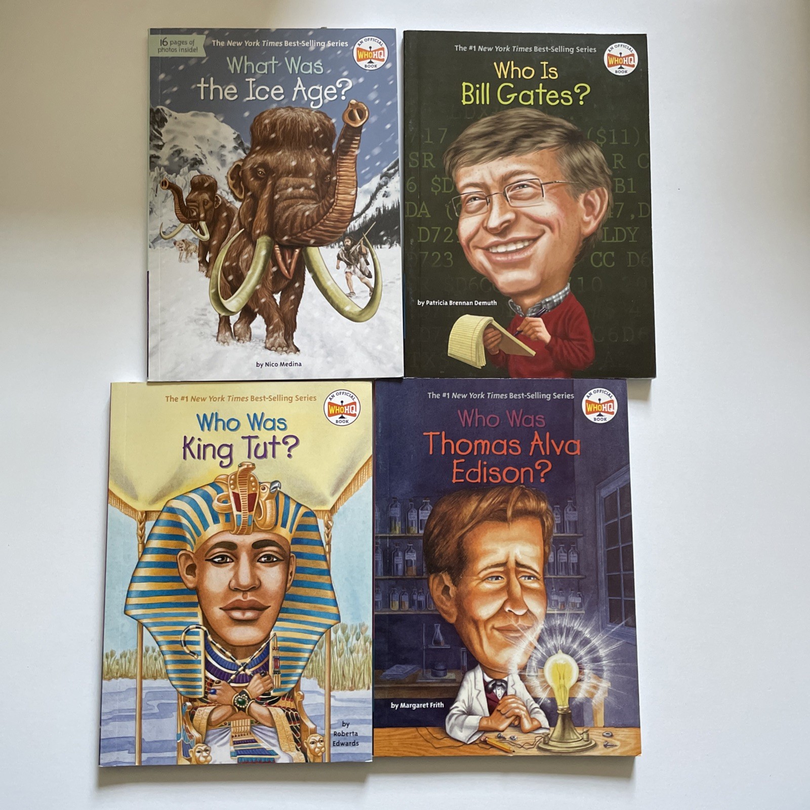 Mixed Lot Of 25 Who HQ Who Was, Where Is, What Is, What Was Book Lot