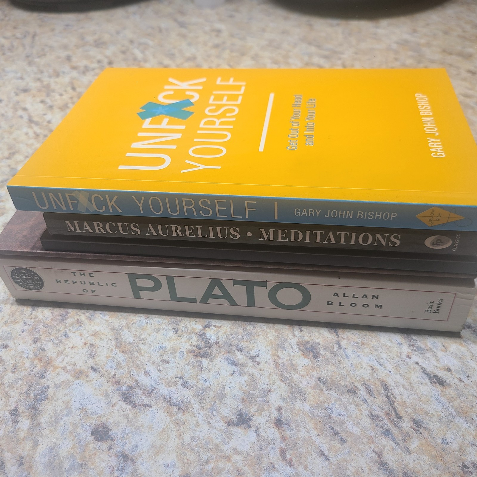 Phylosophy Plato Republic Prince Machiavelli Meditations Books Lot