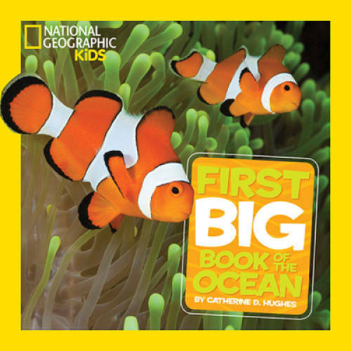 National Geographic Little Kids First Big Book of the Ocean (National Geo – GOOD